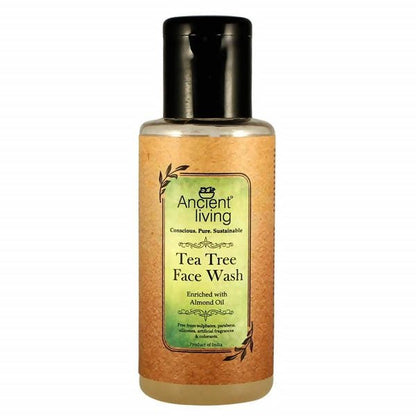 https://cdn.shopify.com/s/files/1/1857/6931/files/2YTOG6en5D-470163.jpg?v=1736147461