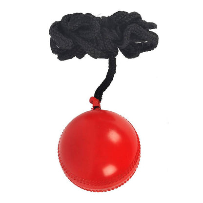 https://cdn.shopify.com/s/files/1/1857/6931/products/2ZkzdxjzAr.jpg?v=1710753362