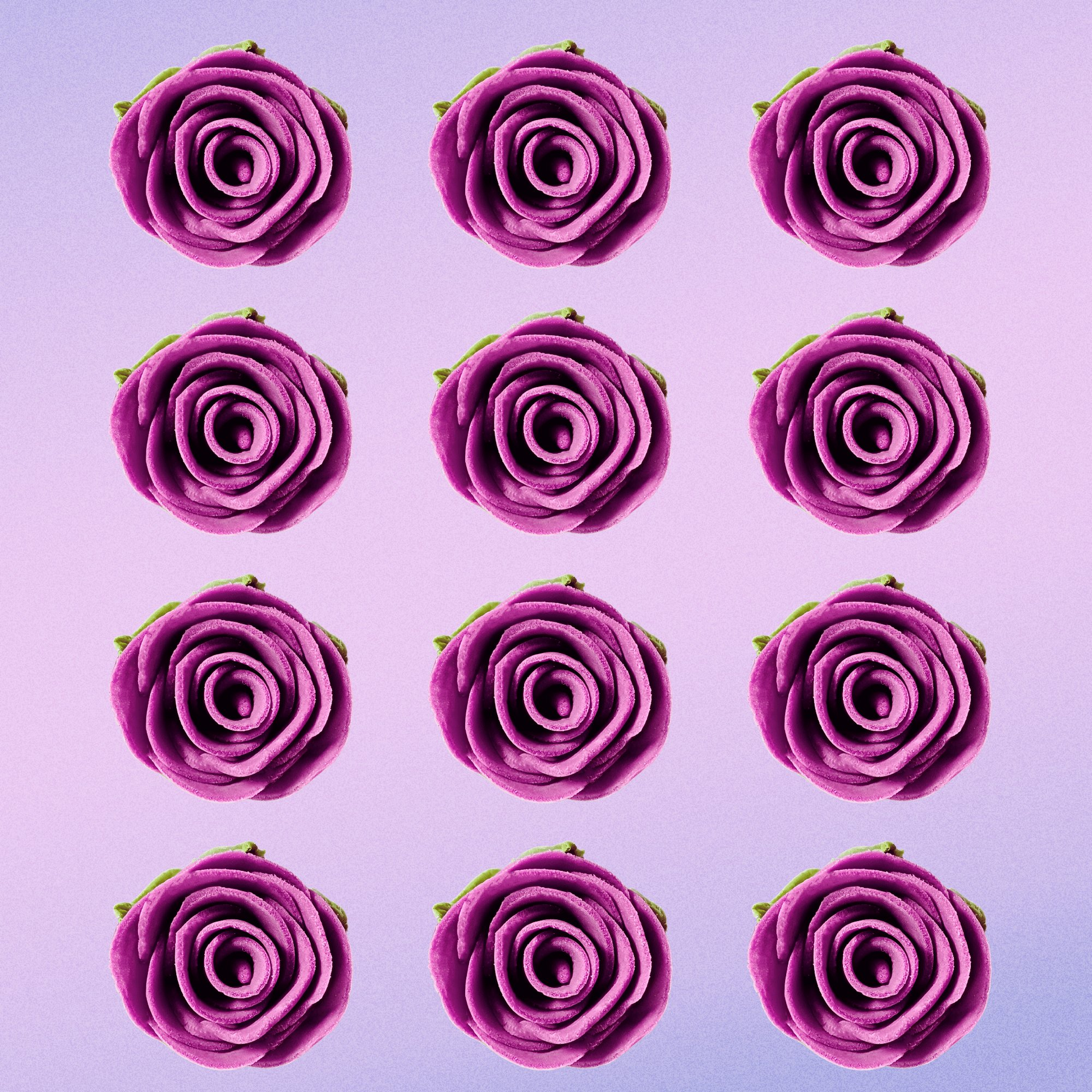 https://cdn.shopify.com/s/files/1/1857/6931/files/2_0e013fa1-53b9-43b9-8fec-5cce4d33b114.png?v=1769707760