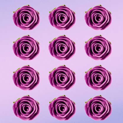 https://cdn.shopify.com/s/files/1/1857/6931/files/2_0e013fa1-53b9-43b9-8fec-5cce4d33b114.png?v=1769707760