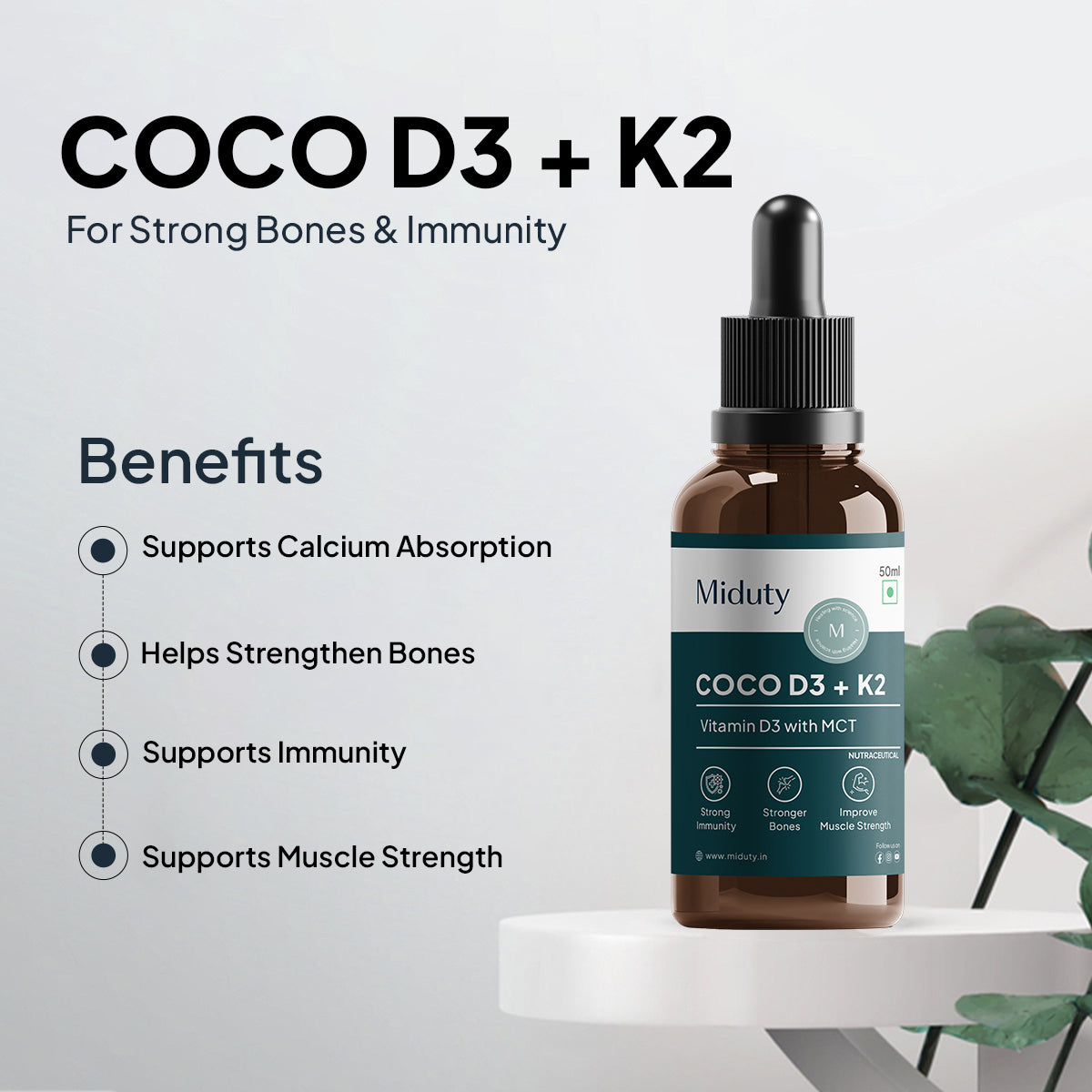 https://cdn.shopify.com/s/files/1/1857/6931/files/2_11.jpg?v=1766756899