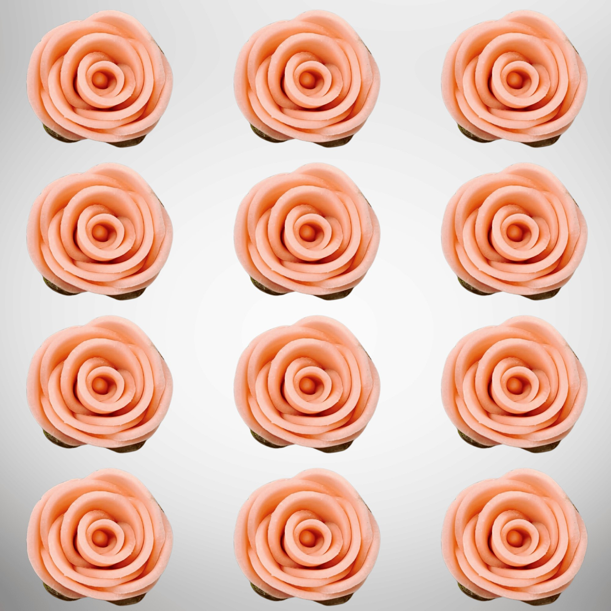 https://cdn.shopify.com/s/files/1/1857/6931/files/2_3b6ba58f-c948-46c8-bd9c-918c45d26df9.png?v=1769707584