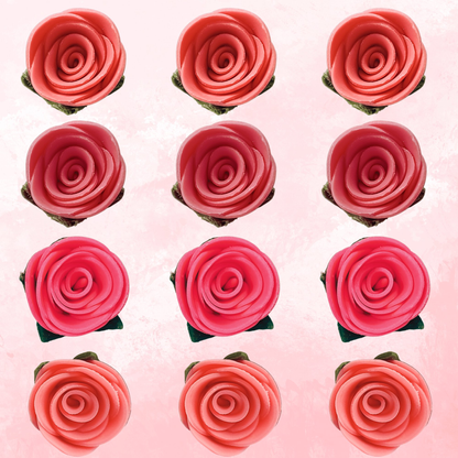 https://cdn.shopify.com/s/files/1/1857/6931/files/2_4df225dd-6fc3-47b3-bfcf-b963a72b4e4a.png?v=1769701639