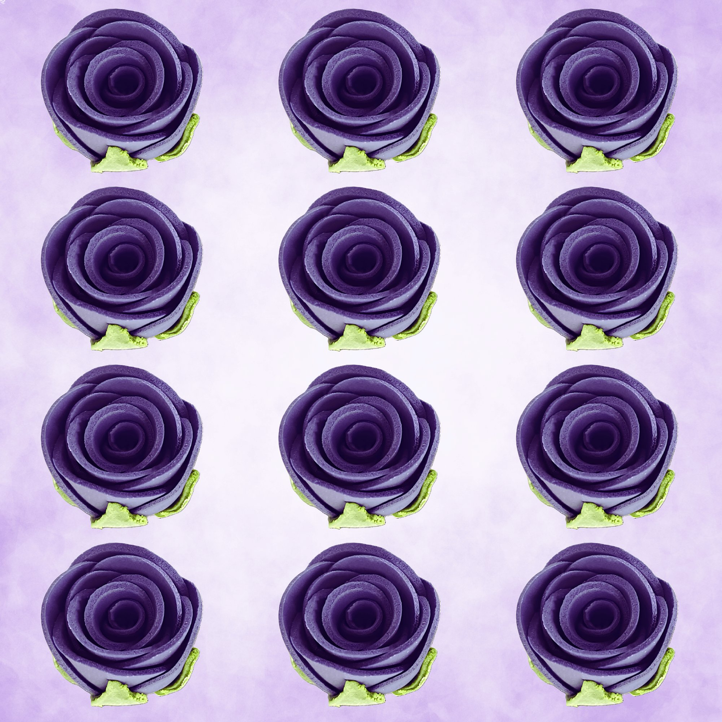 https://cdn.shopify.com/s/files/1/1857/6931/files/2_61d545f3-9490-48bf-9c69-07a7fb4c99d1.png?v=1769707629