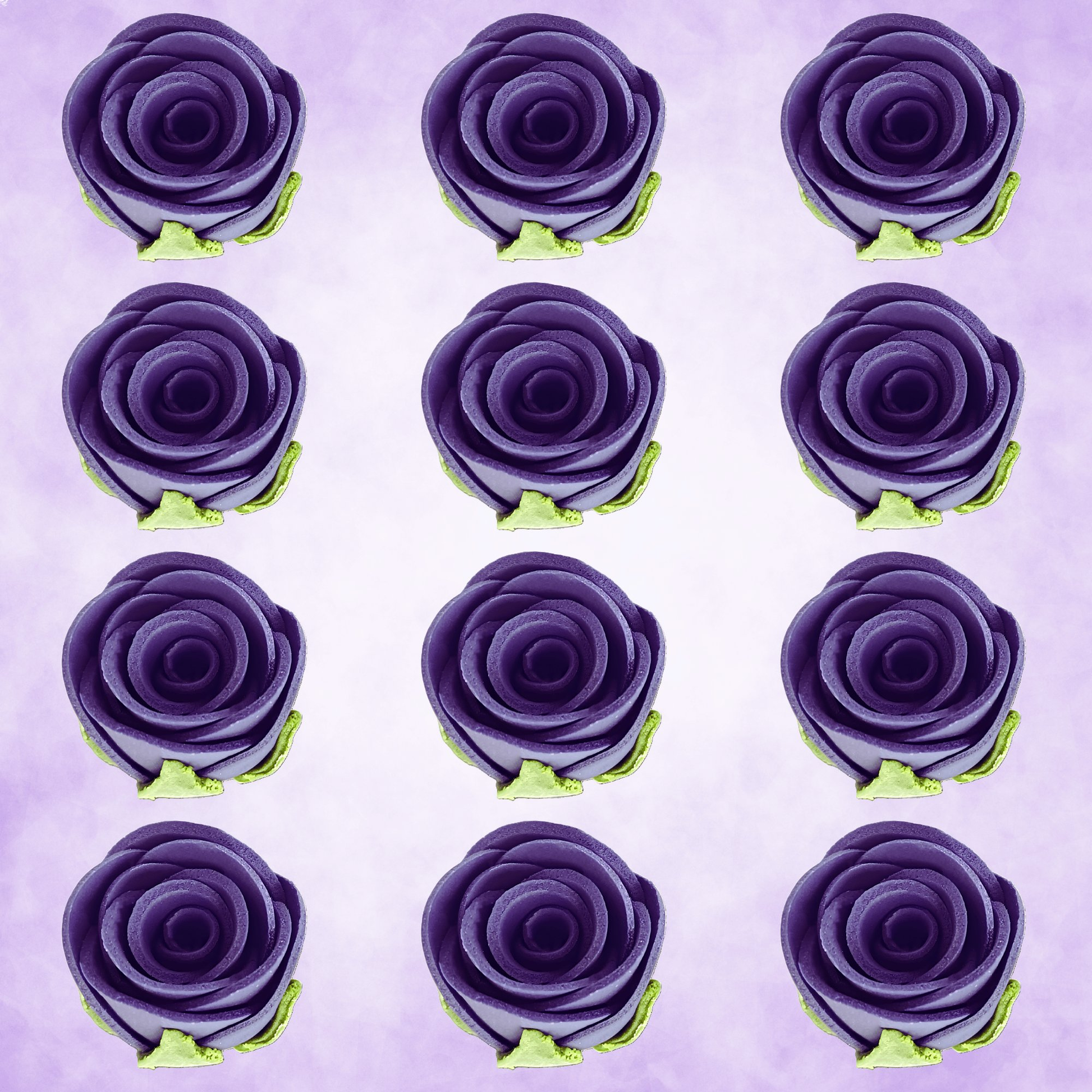 https://cdn.shopify.com/s/files/1/1857/6931/files/2_61d545f3-9490-48bf-9c69-07a7fb4c99d1.png?v=1769707629