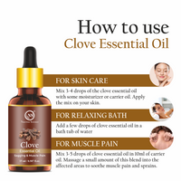 https://cdn.shopify.com/s/files/1/1857/6931/files/2_9ae8a674-03fc-4841-a743-4a92fecf459d.png?v=1765546613