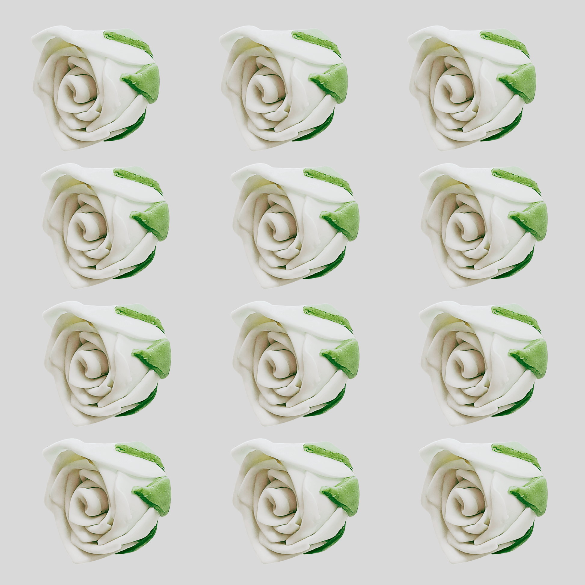 https://cdn.shopify.com/s/files/1/1857/6931/files/2_a51497c0-5f22-48c2-a1d6-636eda160665.png?v=1769694465