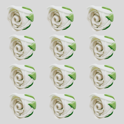 https://cdn.shopify.com/s/files/1/1857/6931/files/2_a51497c0-5f22-48c2-a1d6-636eda160665.png?v=1769694465