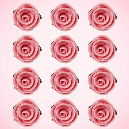 https://cdn.shopify.com/s/files/1/1857/6931/files/2_f5e00d58-ad01-445a-b959-a738f18f08d5.png?v=1769696308