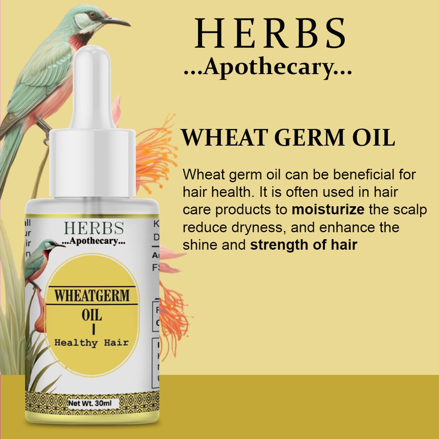 https://cdn.shopify.com/s/files/1/1857/6931/files/2a475f4ZENHERB000033_4.jpg?v=1778830524