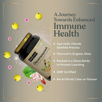 https://cdn.shopify.com/s/files/1/1857/6931/products/2aD6rB2sVT.jpg?v=1625155455