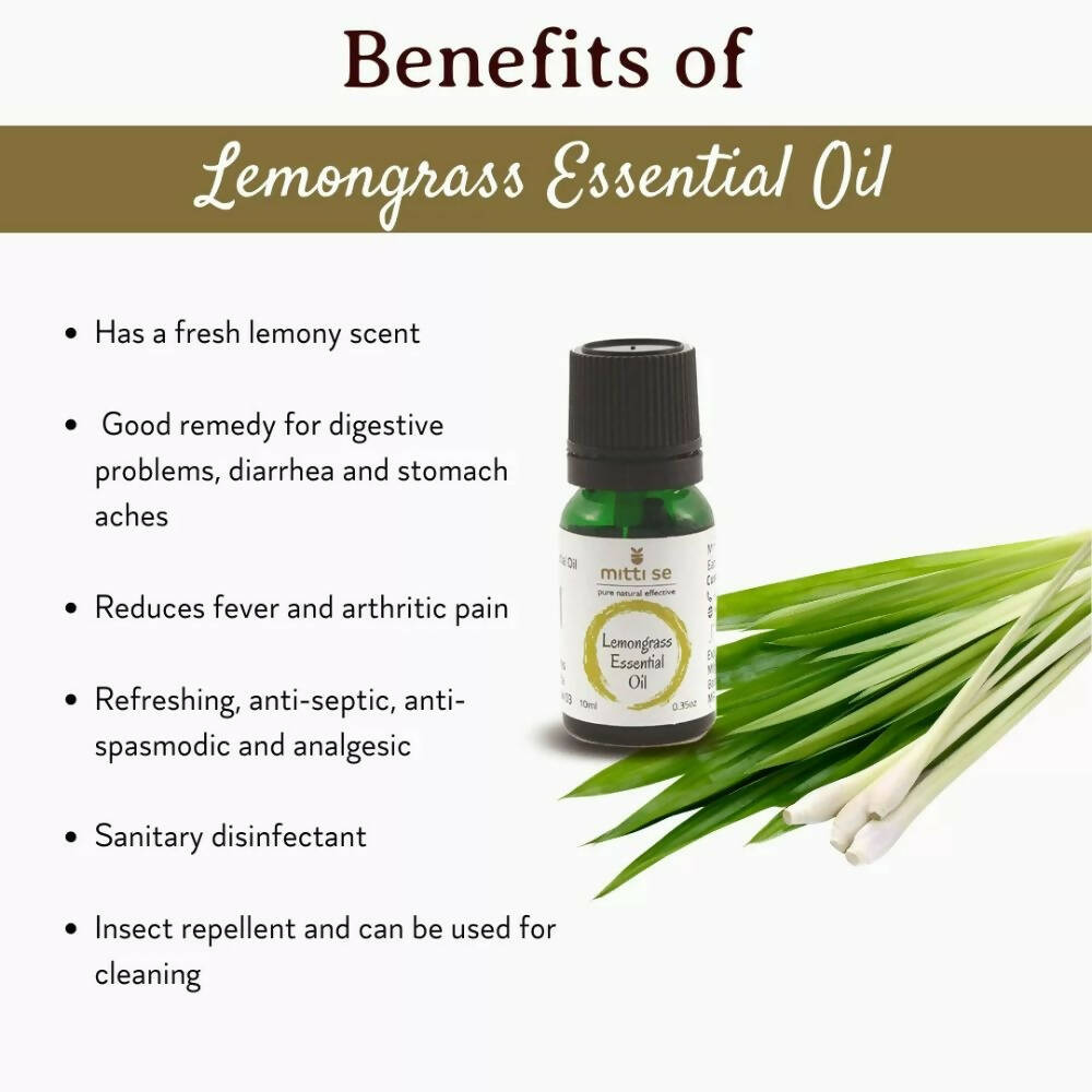 https://cdn.shopify.com/s/files/1/1857/6931/products/2b2NL8vsbf.jpg?v=1670583112