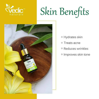 https://cdn.shopify.com/s/files/1/1857/6931/products/2cyQzsElNf.jpg?v=1694514930