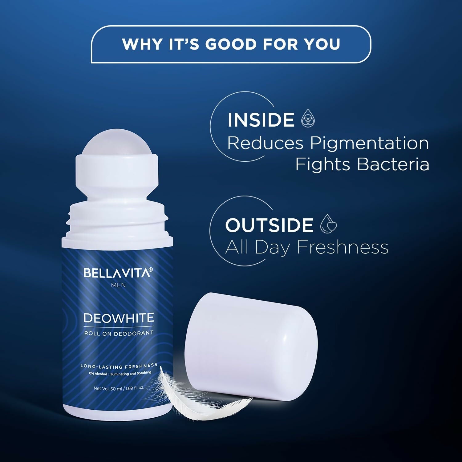 https://cdn.shopify.com/s/files/1/1857/6931/files/2egpete4dd.jpg?v=1744448651