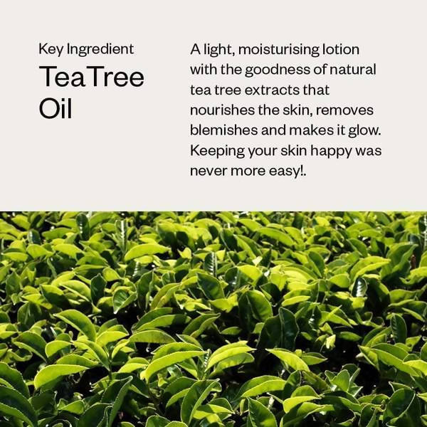 https://cdn.shopify.com/s/files/1/1857/6931/products/2fWU0Woua7.jpg?v=1631364873