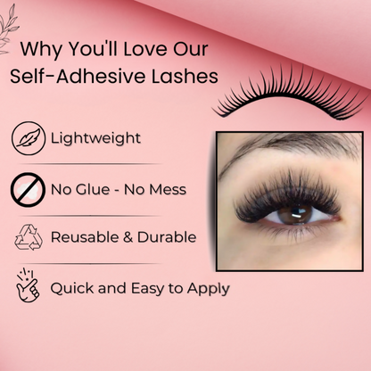https://cdn.shopify.com/s/files/1/1857/6931/files/2fu8UG2rR9.png?v=1757488314