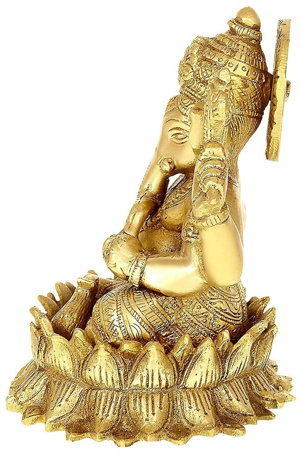 https://cdn.shopify.com/s/files/1/1857/6931/files/2hYdAGeJ2C.jpg?v=1714225178