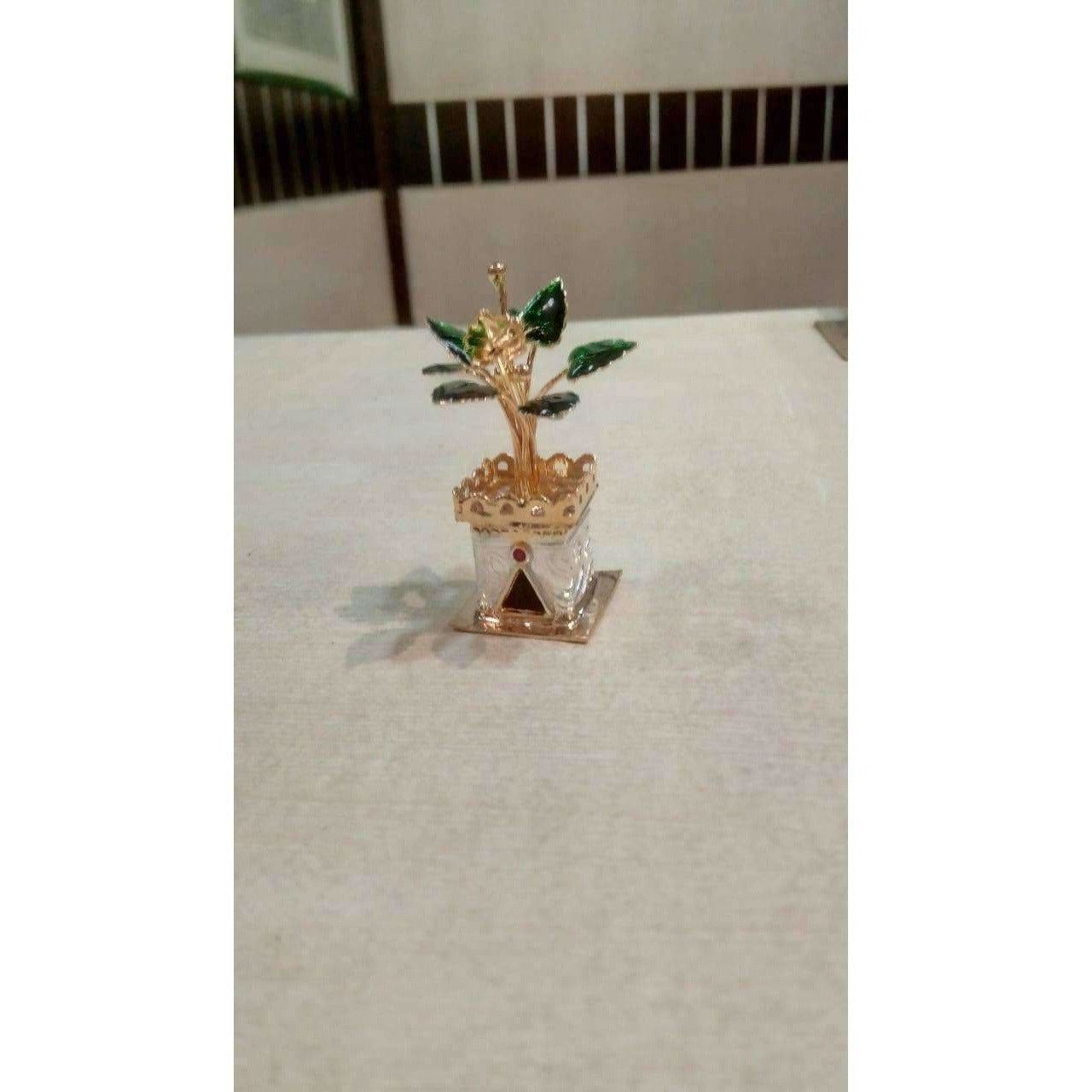 https://cdn.shopify.com/s/files/1/1857/6931/products/2hkbOF3JEQ.jpg?v=1620004342