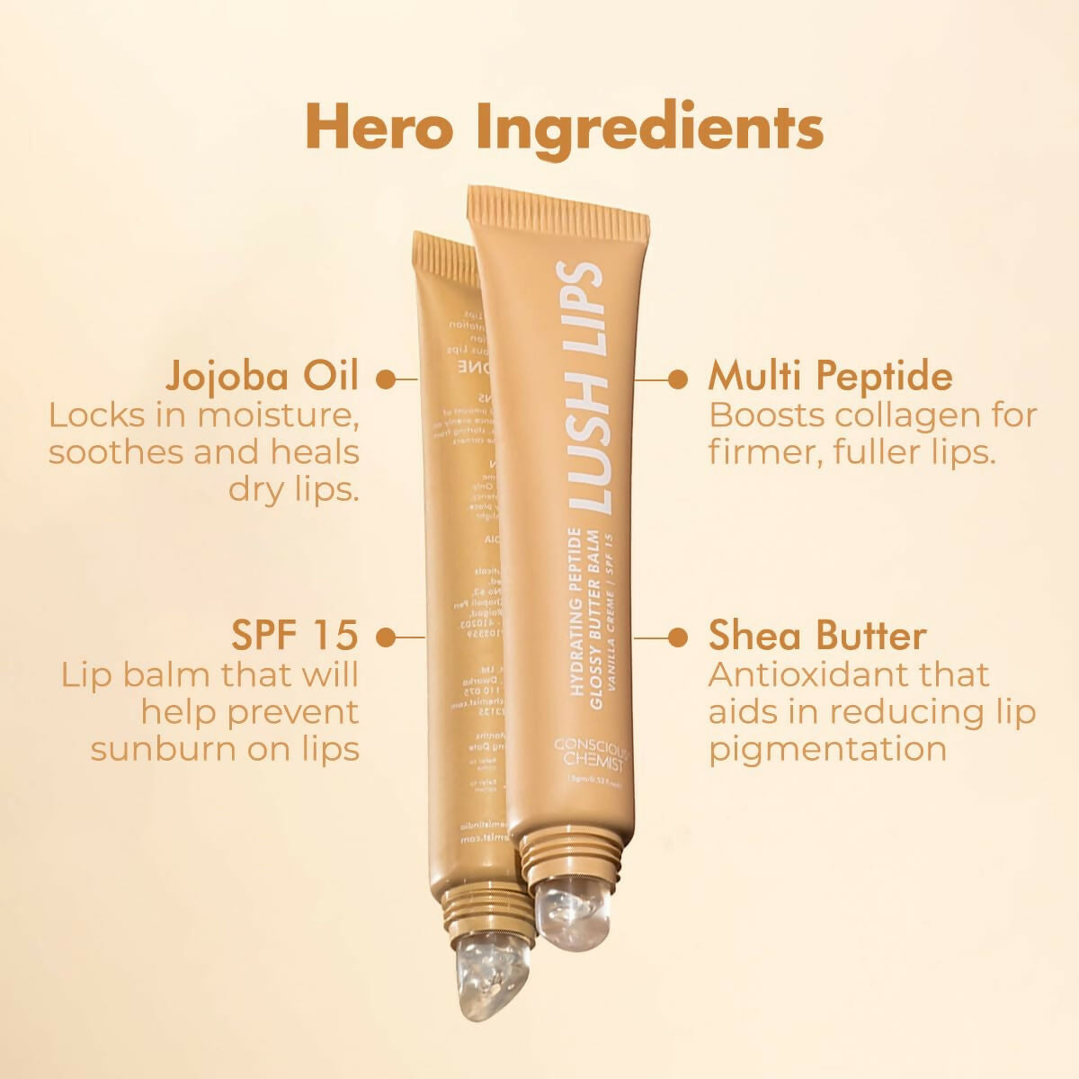 https://cdn.shopify.com/s/files/1/1857/6931/files/2jy6jYfJoo.jpg?v=1736254133