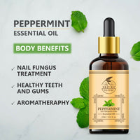 https://cdn.shopify.com/s/files/1/1857/6931/files/2lcO7FCw3D.jpg?v=1731582373