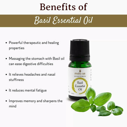 https://cdn.shopify.com/s/files/1/1857/6931/products/2n4NB6HIr4.jpg?v=1670581748