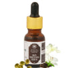 https://cdn.shopify.com/s/files/1/1857/6931/products/2nHt4TwApU.jpg?v=1663678391