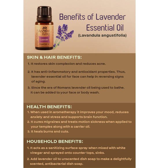 https://cdn.shopify.com/s/files/1/1857/6931/files/2pFrJcYlgR-436336.jpg?v=1736147457
