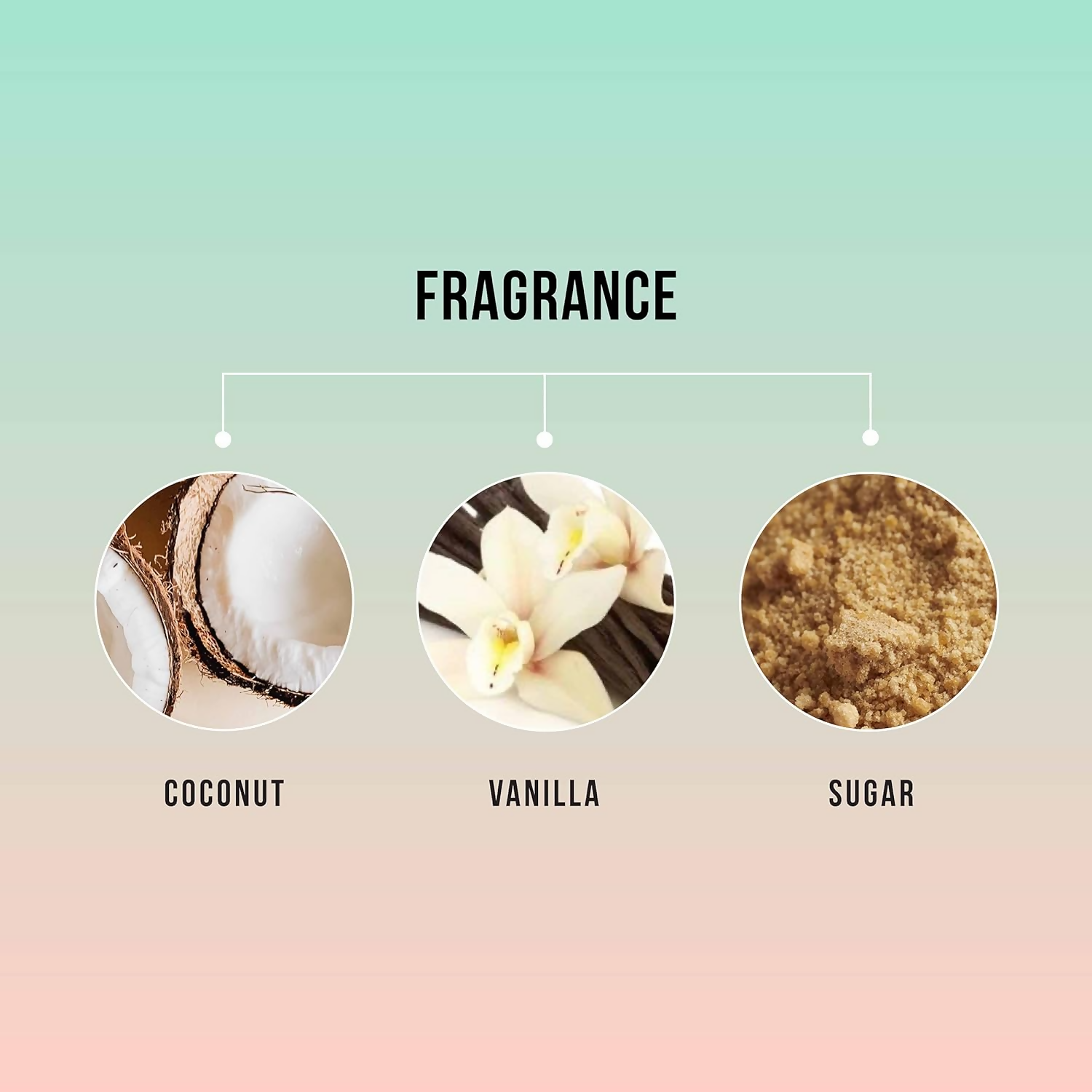 https://cdn.shopify.com/s/files/1/1857/6931/files/2tulgpRd0m.png?v=1719407126