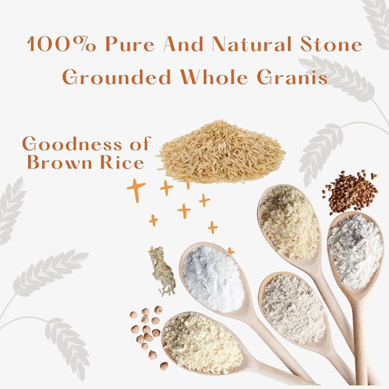 https://cdn.shopify.com/s/files/1/1857/6931/products/2udk4ANWkb.jpg?v=1704888166