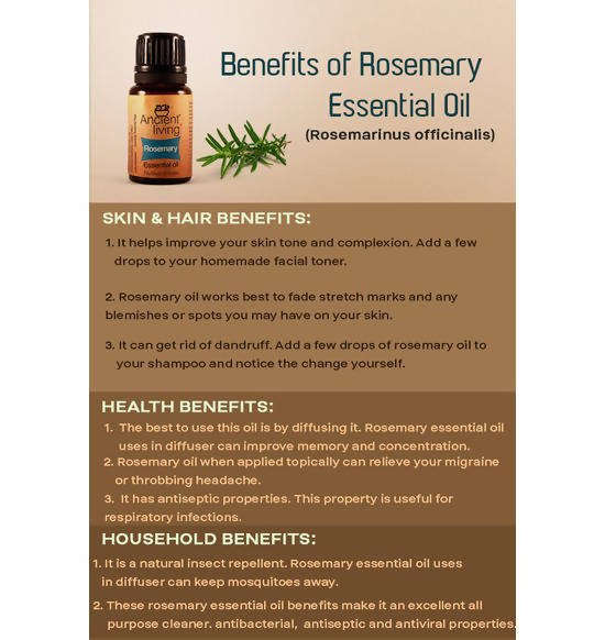 https://cdn.shopify.com/s/files/1/1857/6931/files/2vLGkq2hhX-205365.jpg?v=1736147458