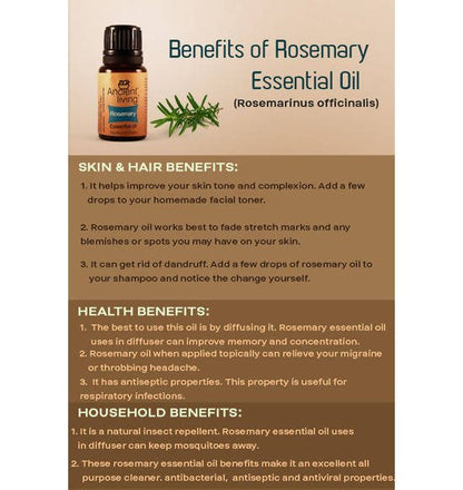 https://cdn.shopify.com/s/files/1/1857/6931/files/2vLGkq2hhX-205365.jpg?v=1736147458