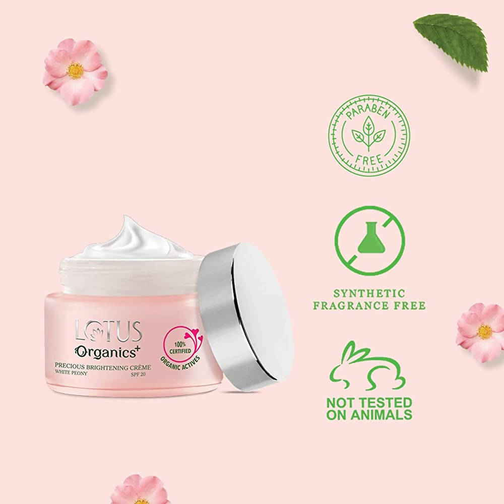 https://cdn.shopify.com/s/files/1/1857/6931/products/2wQJAxC7Ho.jpg?v=1648460954