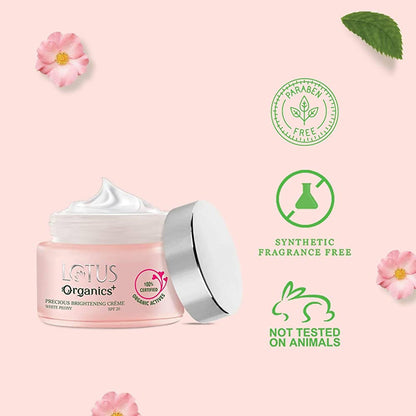 https://cdn.shopify.com/s/files/1/1857/6931/products/2wQJAxC7Ho.jpg?v=1648460954