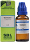 https://cdn.shopify.com/s/files/1/1857/6931/products/3-ch-rhododendron-chrysanthum-sbl-original-imagy7nyar6phhpd.jpg?v=1632565768