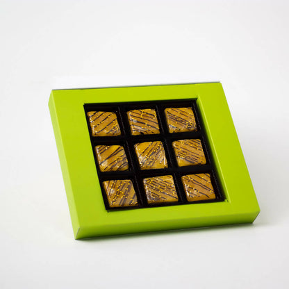 https://cdn.shopify.com/s/files/1/1857/6931/products/30B0gPglCg.jpg?v=1679576996