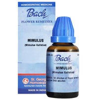 https://cdn.shopify.com/s/files/1/1857/6931/products/30QM2dcxbs.jpg?v=1644821821