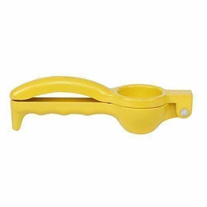 https://cdn.shopify.com/s/files/1/1857/6931/products/31Pn48HfM4L.jpg?v=1620003381