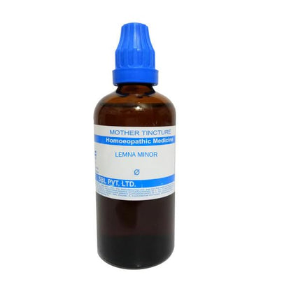 https://cdn.shopify.com/s/files/1/1857/6931/files/31d01G7xIJL.jpg?v=1697459432