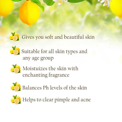 https://cdn.shopify.com/s/files/1/1857/6931/products/31lzjCj5oZ.jpg?v=1680783822