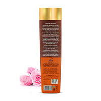 https://cdn.shopify.com/s/files/1/1857/6931/products/31tC6mJ9hTL_jpg.jpg?v=1637400489