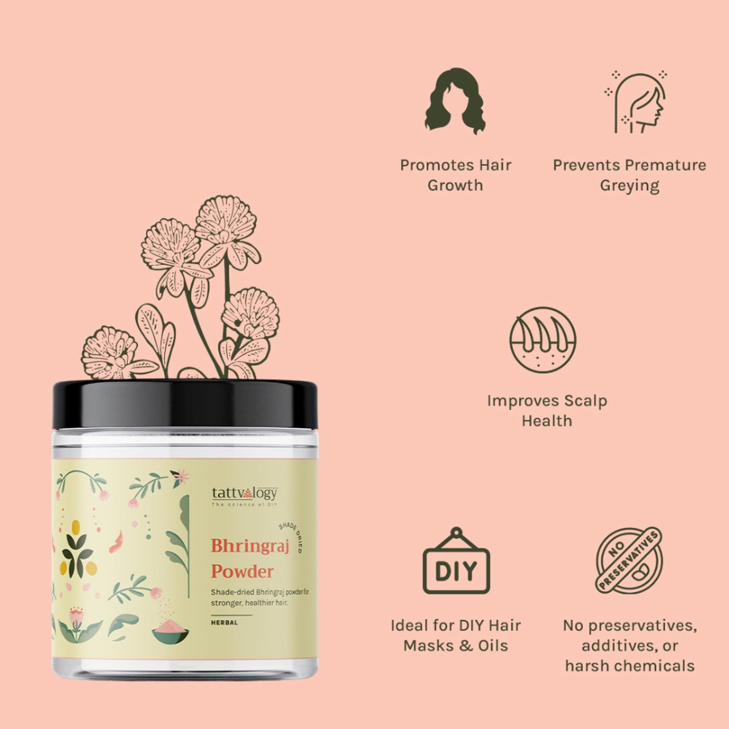 https://cdn.shopify.com/s/files/1/1857/6931/files/3517eab8904304400271_2.jpg?v=1769755562