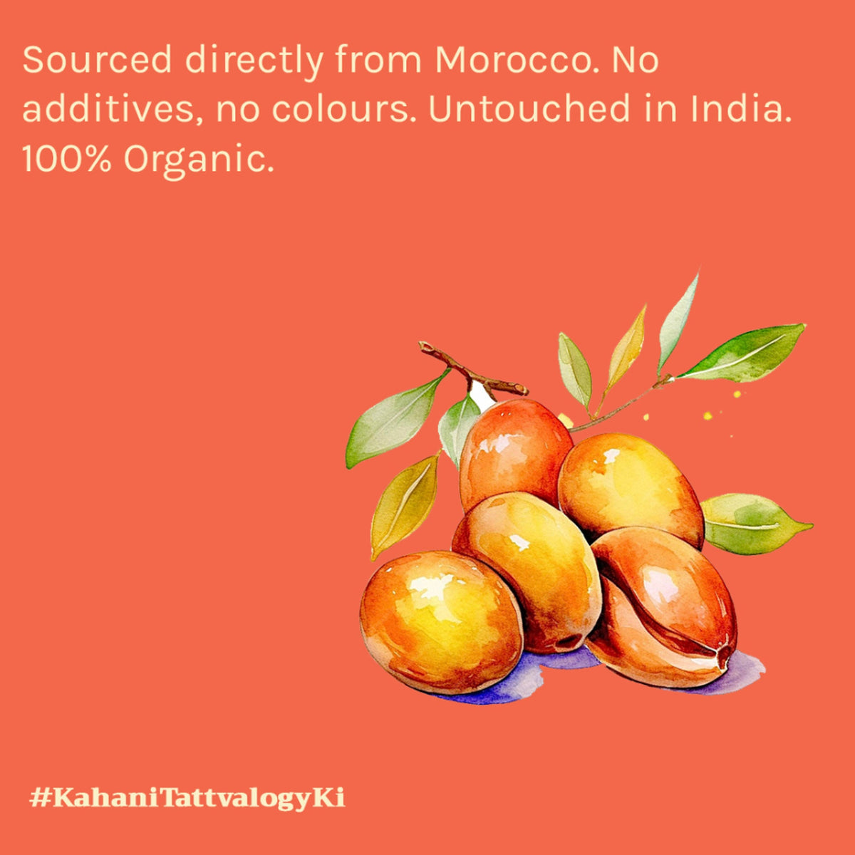 Image 4 of Tattvalogy Organic Moroccan Argan Oil - Vitamin-E Rich, Antioxidant, Tames Frizz for Smooth Hair