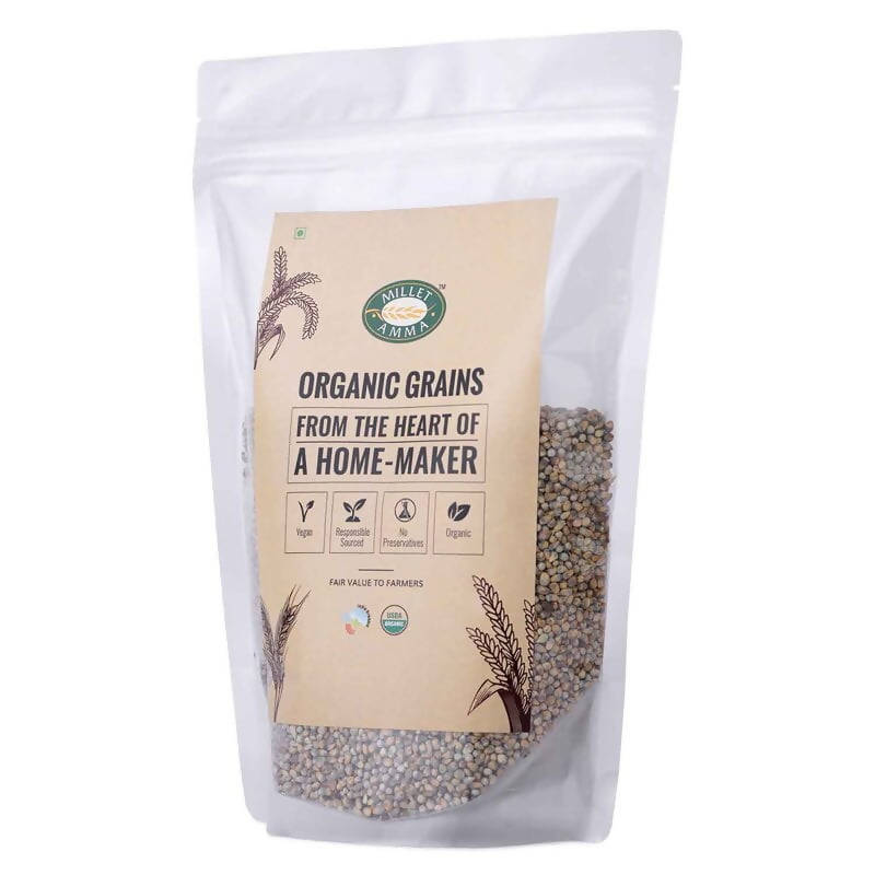 https://cdn.shopify.com/s/files/1/1857/6931/products/35ZvpETaaK.jpg?v=1627007905