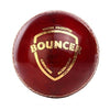 Image 1 of Default Title for the product SG Bouncer Leather Balls (Pack of 12)