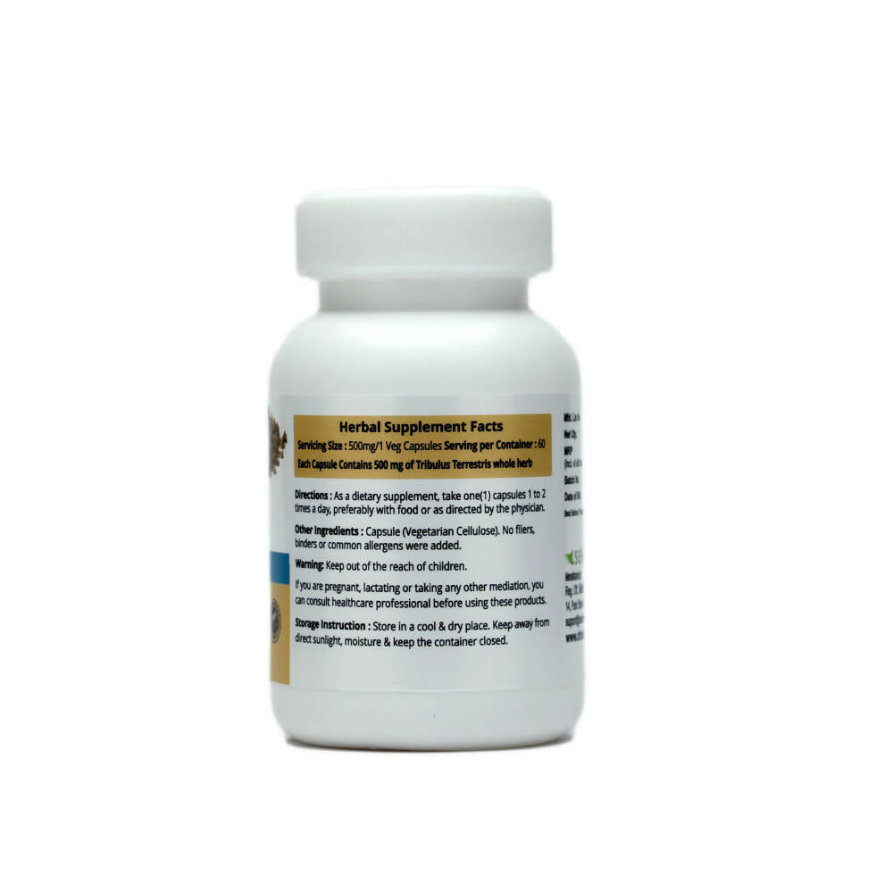 https://cdn.shopify.com/s/files/1/1857/6931/products/37fkyWkaNx.jpg?v=1669877723