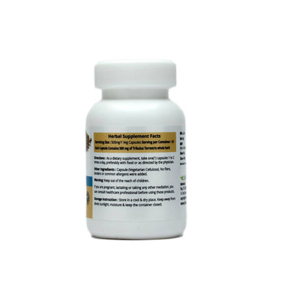 https://cdn.shopify.com/s/files/1/1857/6931/products/37fkyWkaNx.jpg?v=1669877723