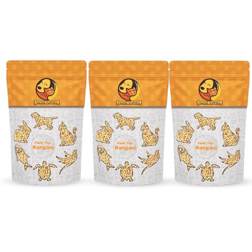 Image 1 of Default Title for the product Foodie Puppies Foxtail Millet Kangni Seeds Bird Food - 3Kg Pouch