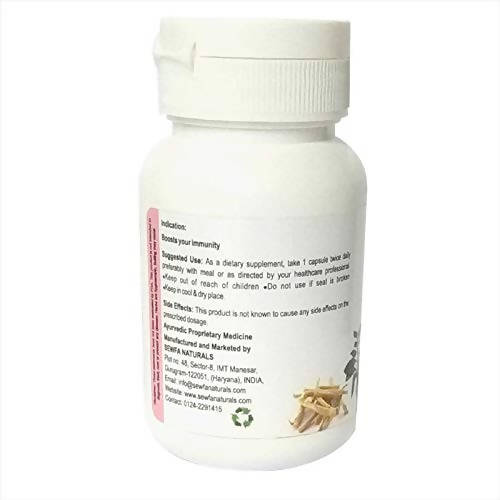 https://cdn.shopify.com/s/files/1/1857/6931/products/38ZHKPP8nA.jpg?v=1661152186