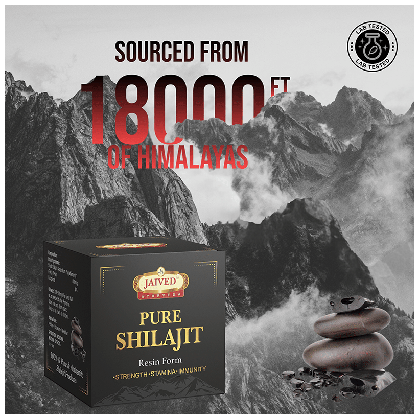 https://cdn.shopify.com/s/files/1/1857/6931/files/391584e766a347b4a15531efe568529c.png?v=1765799721