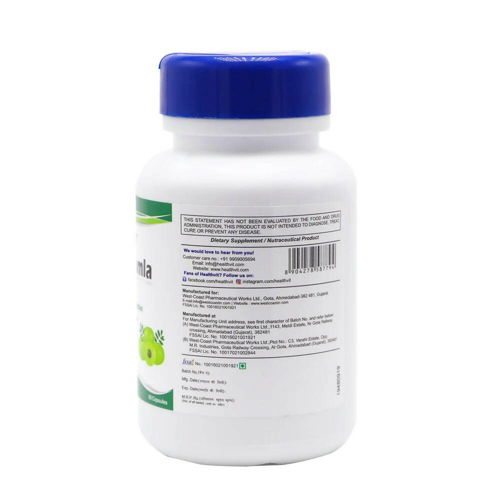 https://cdn.shopify.com/s/files/1/1857/6931/products/396hhyPLpK.jpg?v=1669984141